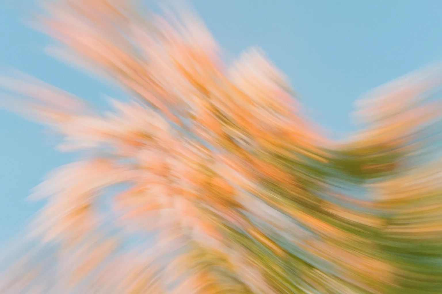 Inbound Support workflow