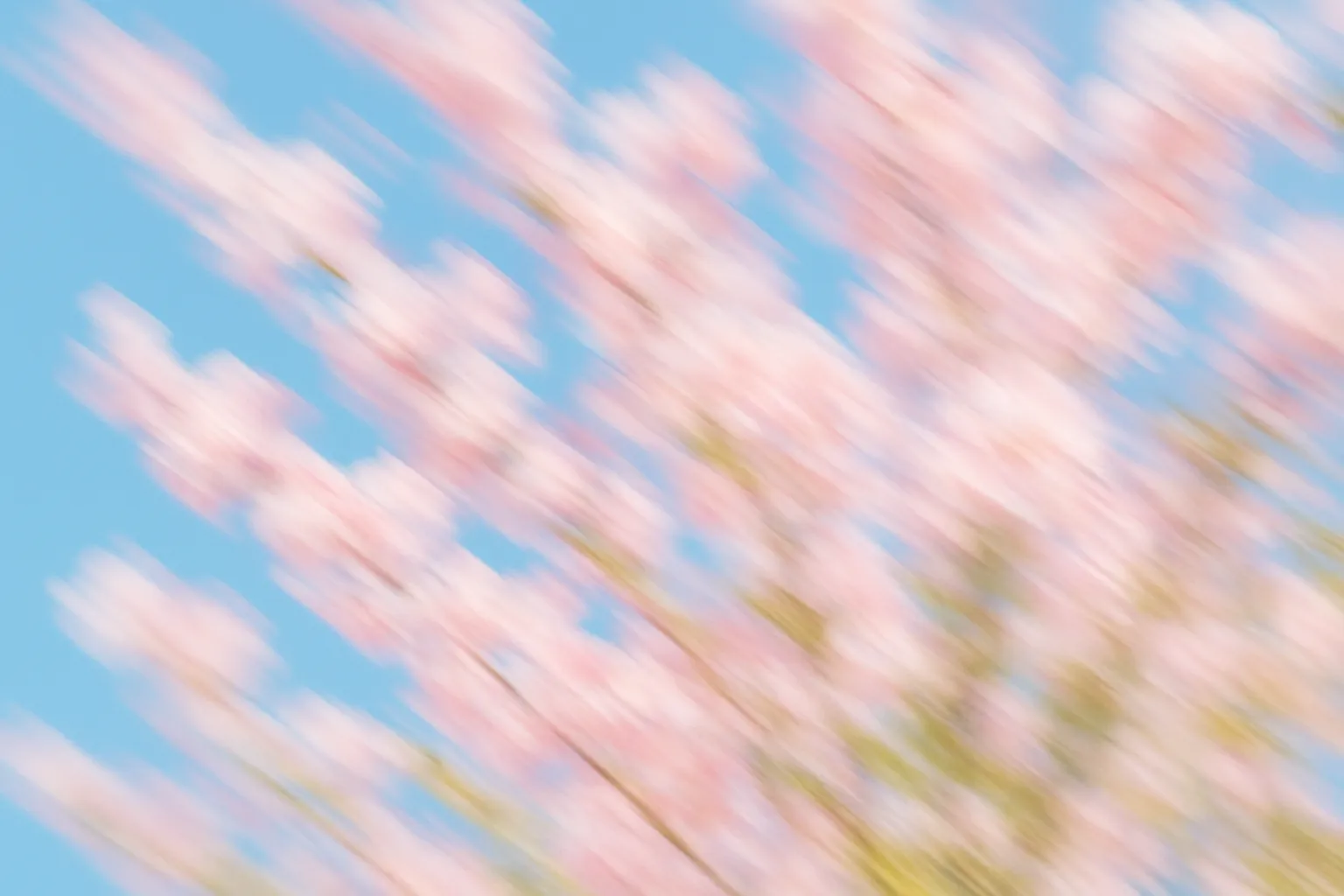 Setup & deploy your agent